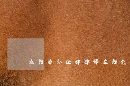 益阳涉外法律律师在线免费咨询 益阳涉外法律律师在线免费咨询