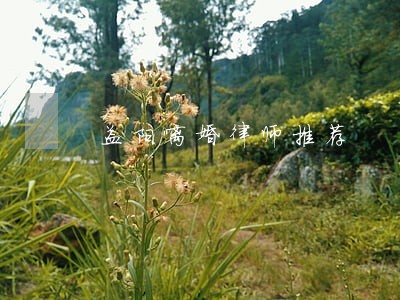 益阳离婚律师推荐 益阳离婚律师推荐