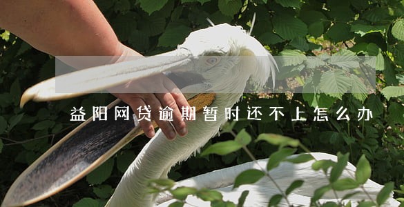 益阳网贷逾期暂时还不上怎么办 益阳网贷逾期暂时还不上怎么办