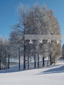 益阳网贷逾期退保