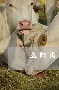 益阳请专业办债务律师哪个好 益阳请专业办债务律师哪个好