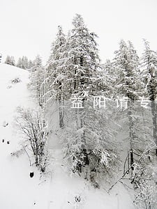 益阳请专业办债务律师费用咨询 益阳请专业办债务律师费用咨询