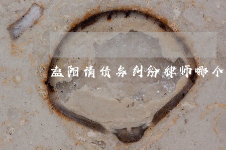益阳请债务纠纷律师哪个好 益阳请债务纠纷律师哪个好