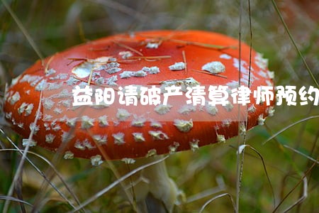 益阳请破产清算律师预约 益阳请破产清算律师预约