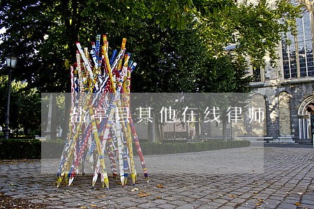 盐亭县其他在线律师 盐亭县其他在线律师