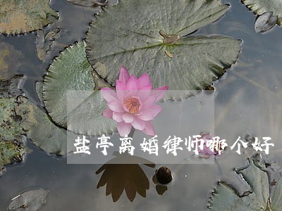 盐亭离婚律师哪个好 盐亭离婚律师哪个好