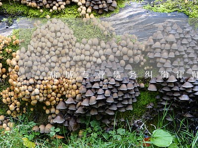 盐城专业债务纠纷律师收费 盐城专业债务纠纷律师收费