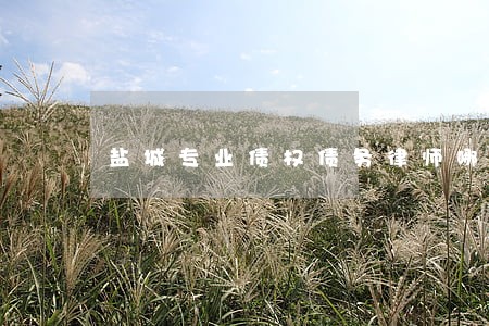 盐城专业债权债务律师哪里找 盐城专业债权债务律师哪里找
