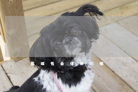 盐城专业律师价格 盐城专业律师价格
