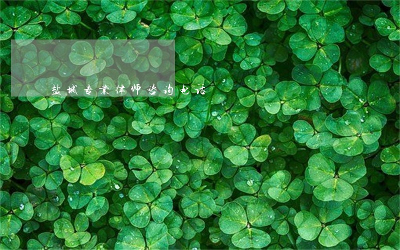 盐城专业律师咨询电话 盐城专业律师咨询电话