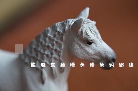盐城东台擅长债务纠纷律师 盐城东台擅长债务纠纷律师