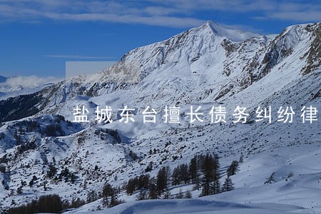 盐城东台擅长债务纠纷律师推荐 盐城东台擅长债务纠纷律师推荐
