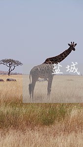 盐城中南世纪城物业费法院传票