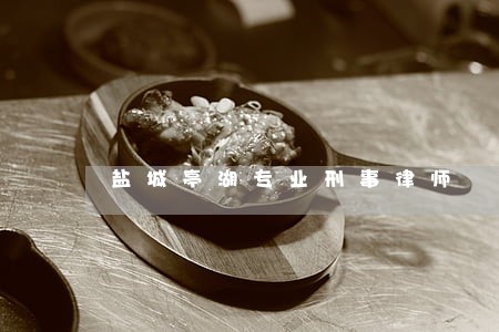盐城亭湖专业刑事律师