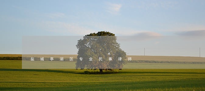 盐城亭湖区专业民事律师 盐城亭湖区专业民事律师