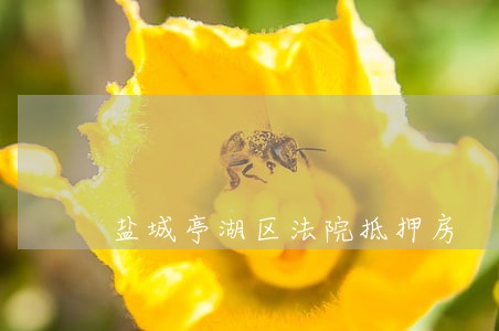 盐城亭湖区法院抵押房 盐城亭湖区法院抵押房