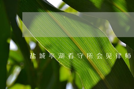 盐城亭湖看守所会见律师如何委托 盐城亭湖看守所会见律师如何委托