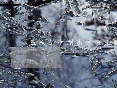 盐城亮亭湖法院孙光明