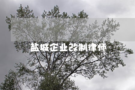 盐城企业改制律师 盐城企业改制律师