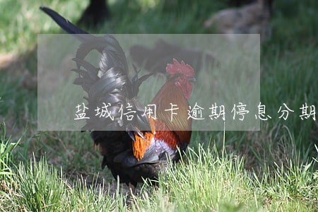 盐城信用卡逾期停息分期怎么协商