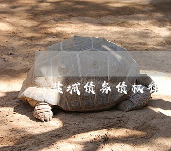 盐城债务债权律师 盐城债务债权律师