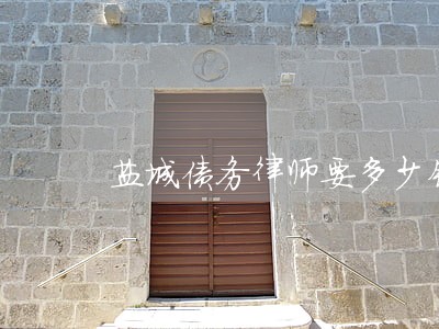 盐城债务律师要多少钱 盐城债务律师要多少钱