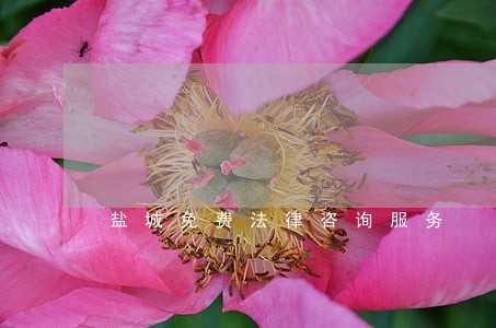 盐城免费法律咨询服务 盐城免费法律咨询服务