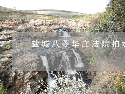 盐城八菱华庄法院拍卖