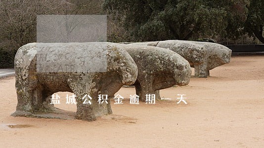 盐城公积金逾期一天 盐城公积金逾期一天