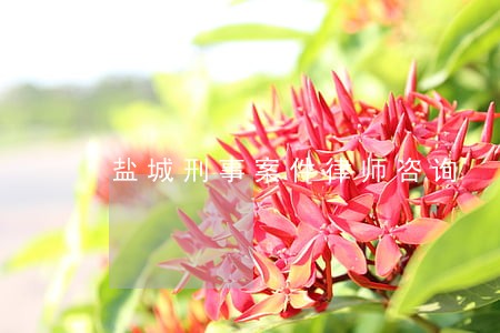 盐城刑事案件律师咨询 盐城刑事案件律师咨询