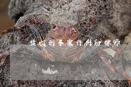 盐城刑事案件纠纷律师 盐城刑事案件纠纷律师