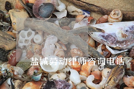 盐城劳动律师咨询电话 盐城劳动律师咨询电话