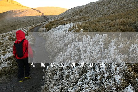 盐城危废刘某违法