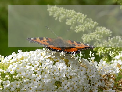 盐城厉害的债权债务律师多少钱 盐城厉害的债权债务律师多少钱