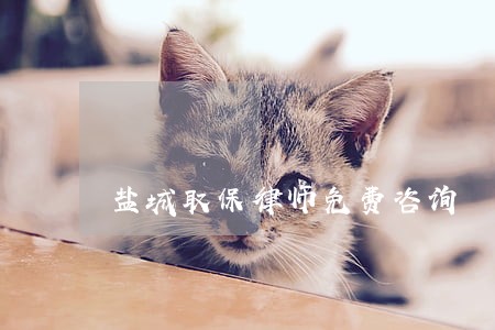 盐城取保律师免费咨询 盐城取保律师免费咨询