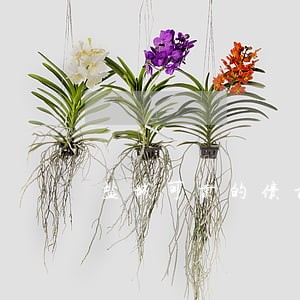 盐城可靠的债权债务律师 盐城可靠的债权债务律师