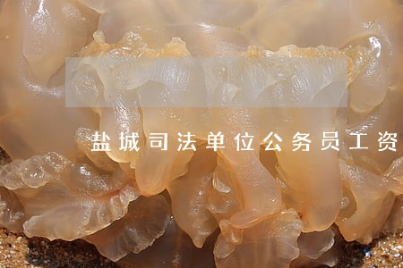 盐城司法单位公务员工资多少 盐城司法单位公务员工资多少