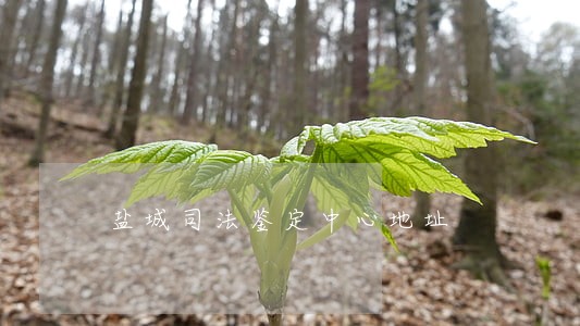盐城司法鉴定中心地址 盐城司法鉴定中心地址