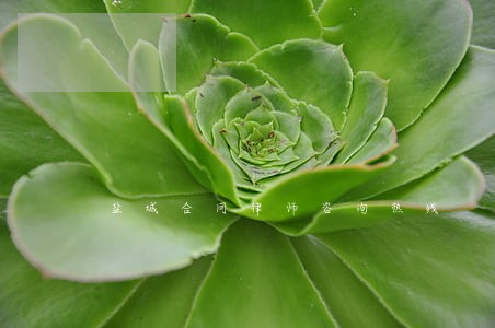 盐城合同律师咨询热线 盐城合同律师咨询热线