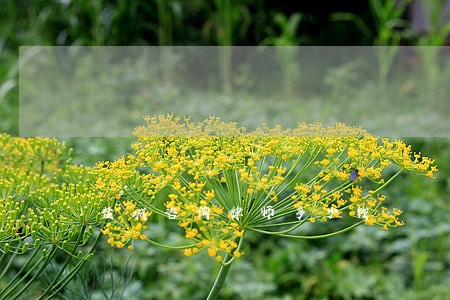 盐城咨询律师多少钱 盐城咨询律师多少钱