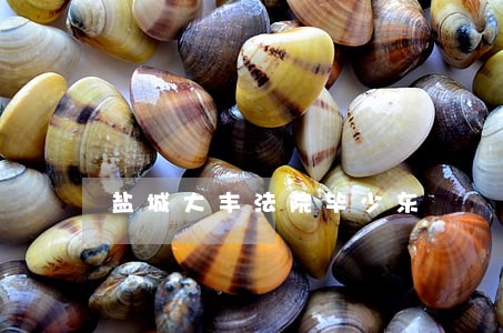 盐城大丰法院毕少东 盐城大丰法院毕少东