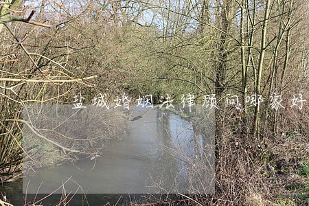 盐城婚姻法律顾问哪家好 盐城婚姻法律顾问哪家好