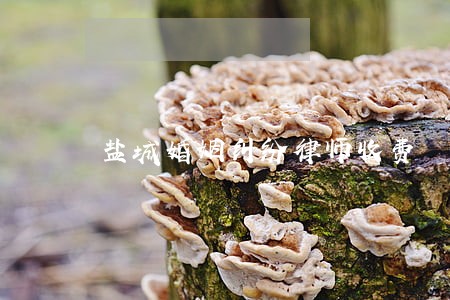 盐城婚姻纠纷律师收费 盐城婚姻纠纷律师收费