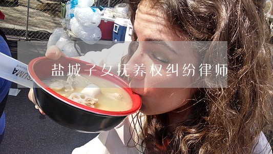 盐城子女抚养权纠纷律师 盐城子女抚养权纠纷律师
