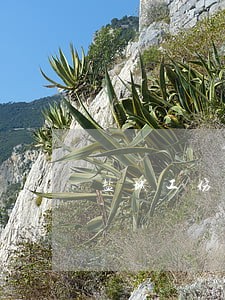盐城工伤专业律师