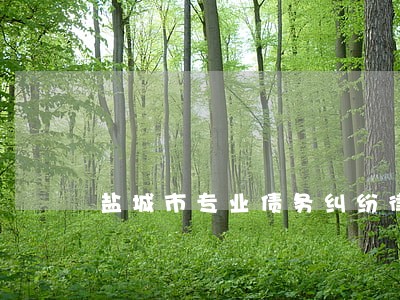 盐城市专业债务纠纷律师 盐城市专业债务纠纷律师
