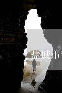 盐城市专业债务纠纷律师收费 盐城市专业债务纠纷律师收费