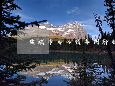 盐城市专办债务纠纷律师哪里找 盐城市专办债务纠纷律师哪里找