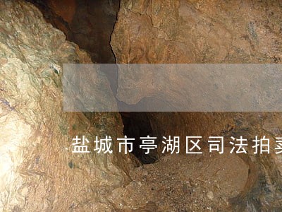 盐城市亭湖区司法拍卖网 盐城市亭湖区司法拍卖网