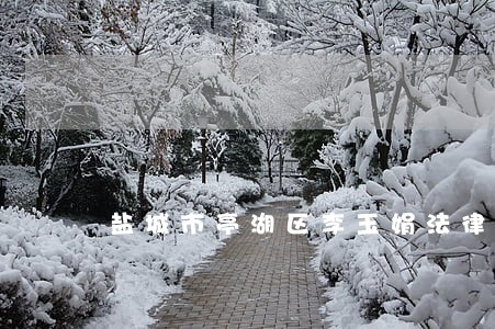 盐城市亭湖区李玉娟法律咨询工作室 盐城市亭湖区李玉娟法律咨询工作室